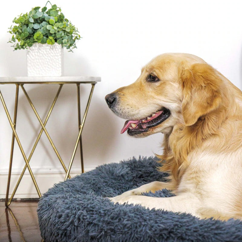 Super Soft Calming Dog Bed