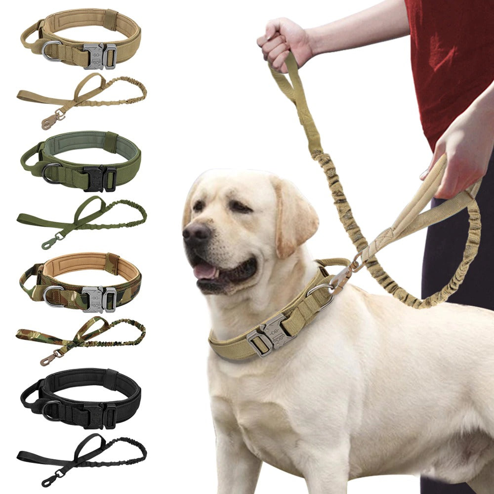 Bungee Leash with Collar